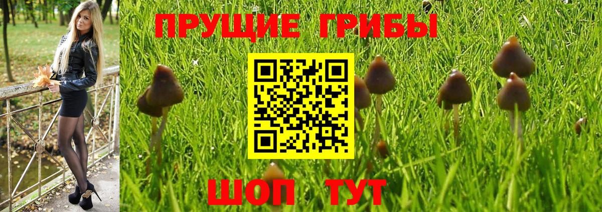 Галлюциногенные грибы MAGIC MUSHROOMS Еманжелинск