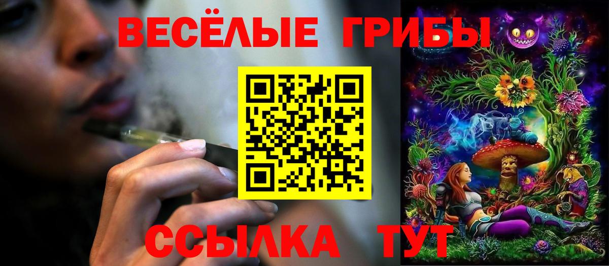 Еманжелинск  дарнет шоп  Галлюциногенные грибы мухоморы  Вход с VPN  Псилоцибиновые грибы прущие грибы 