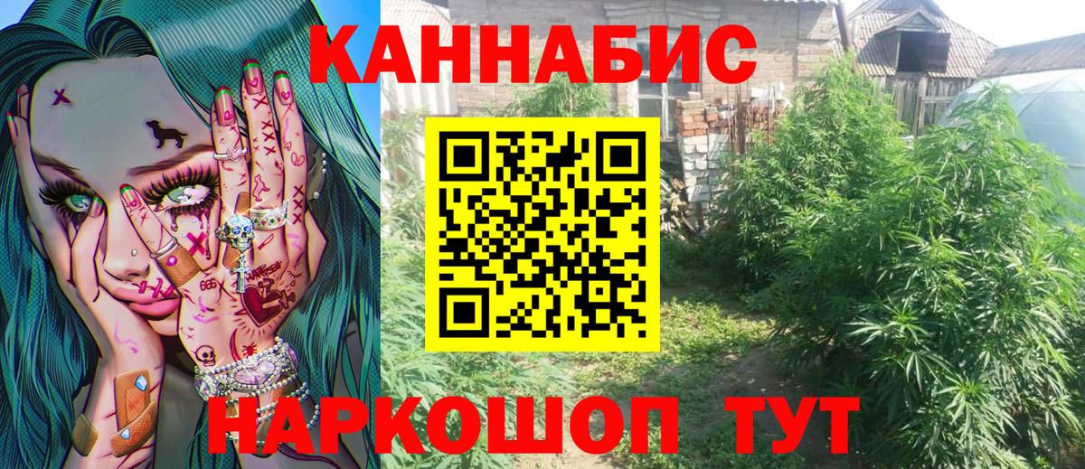 Марихуана сатива  Бошки марихуана White Widow  Еманжелинск  МАРИХУАНА тримм  Вход с VPN 